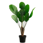 بنانا نبات صناعي