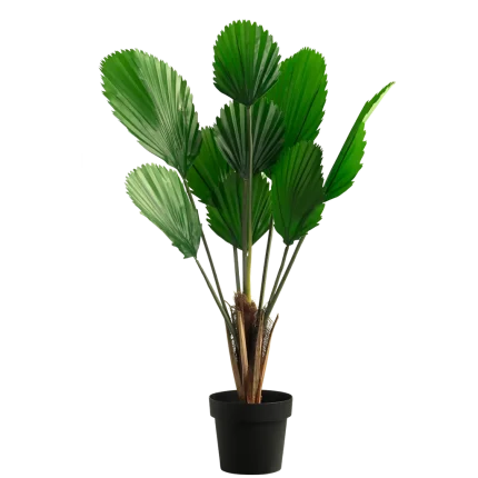 بنانا نبات صناعي