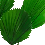 ⁦بنانا نبات صناعي⁩ - الصورة ⁦2⁩